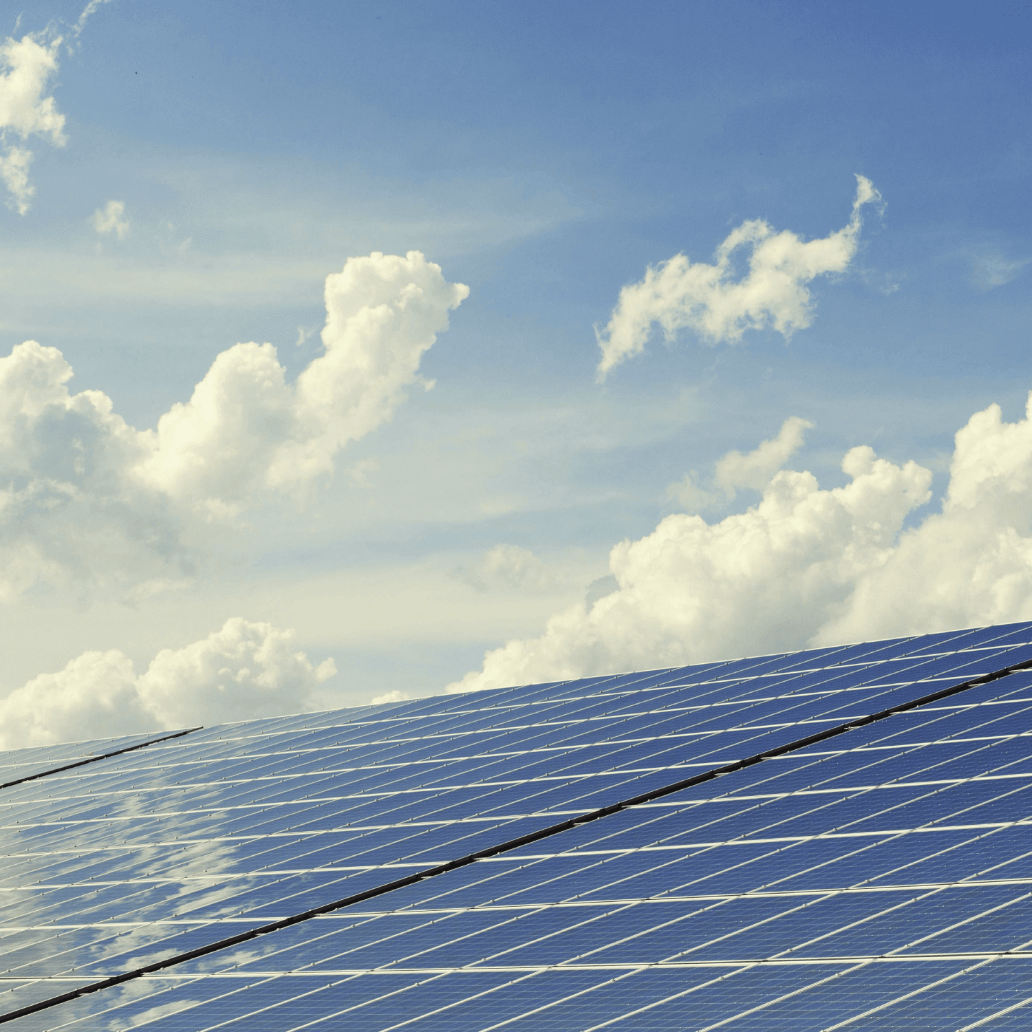 Requirements for suppliers