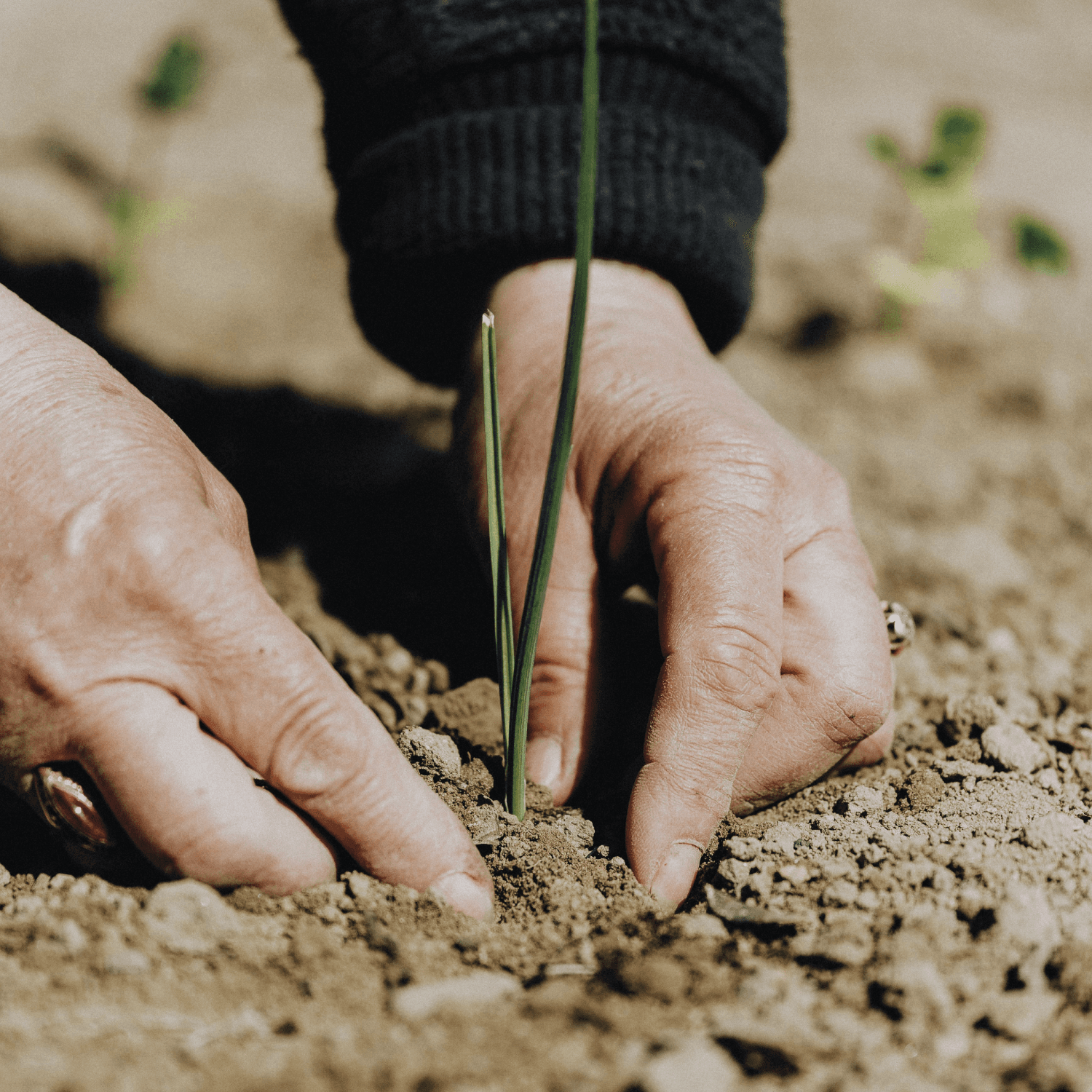 Our Commitment to the Environment and Employees